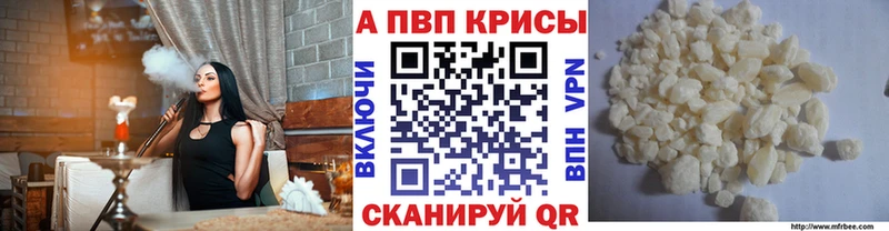 сколько стоит  Судогда  МЕГА ссылка  А ПВП СК КРИС 